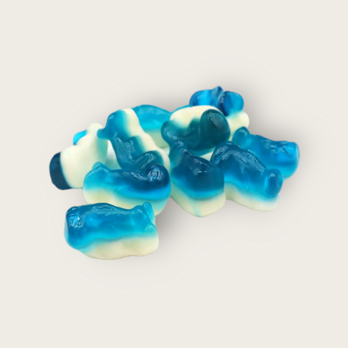 Candy Realm Mini Dolphins